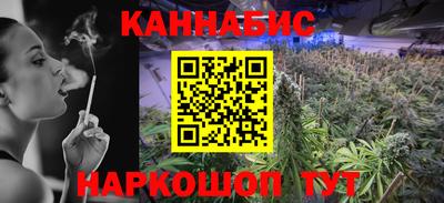 сатива Можга