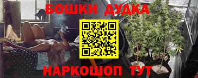 сатива Можга