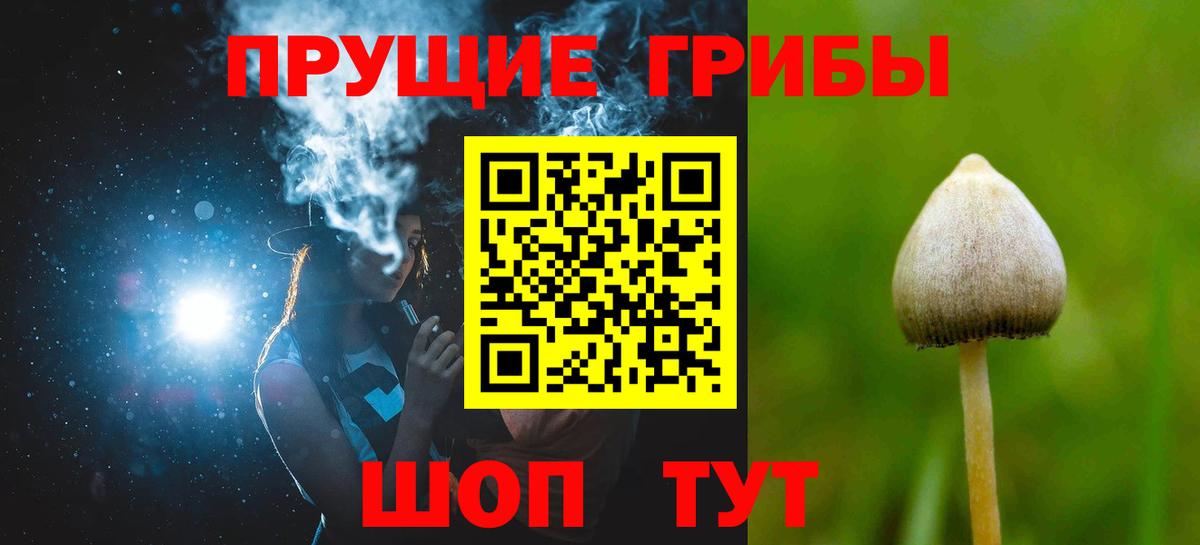 Псилоцибиновые грибы мицелий  хочу наркоту  Топки  Вход с VPN 